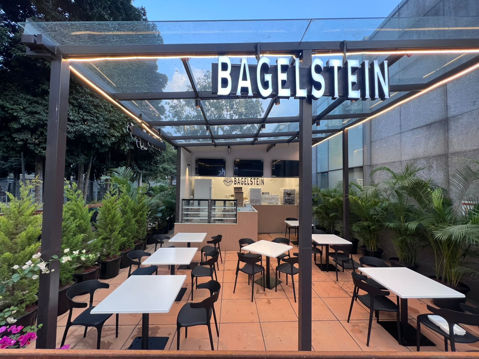 bagelstein